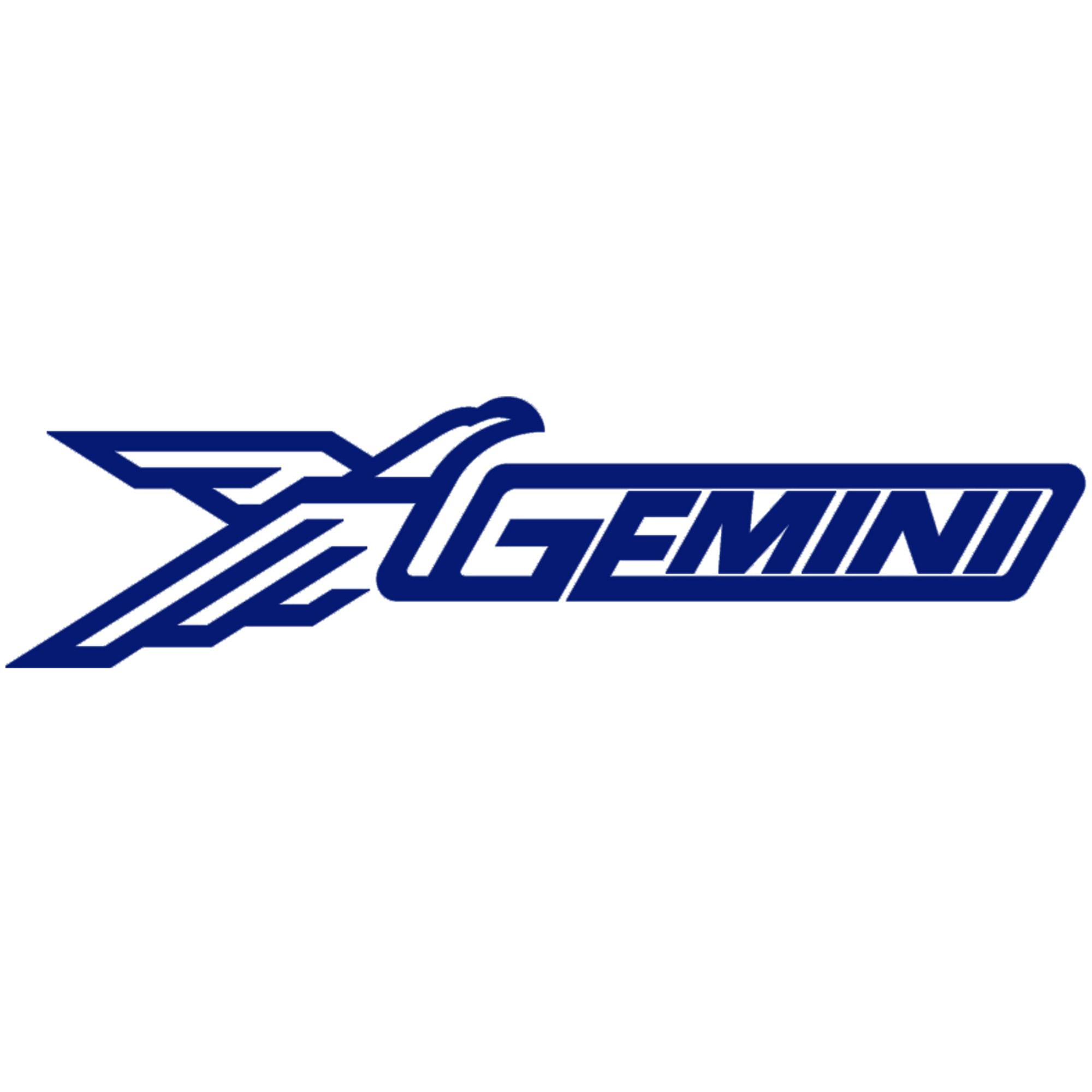 GEMINI