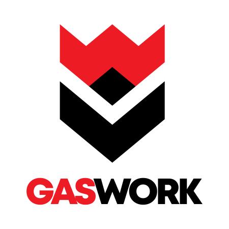เกจ์ปรับแรงดันโฟลเกจ์ก๊าซคาร์บอนไดร์อ๊อกไซด์ GASWORK รุ่น 101-50LM-CO2